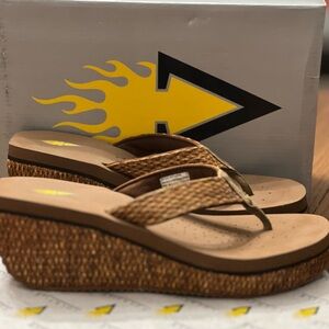 NEW Volatile Teakwood Wedge